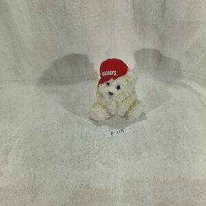 Hershey's Brand Red Hat Plush Bear